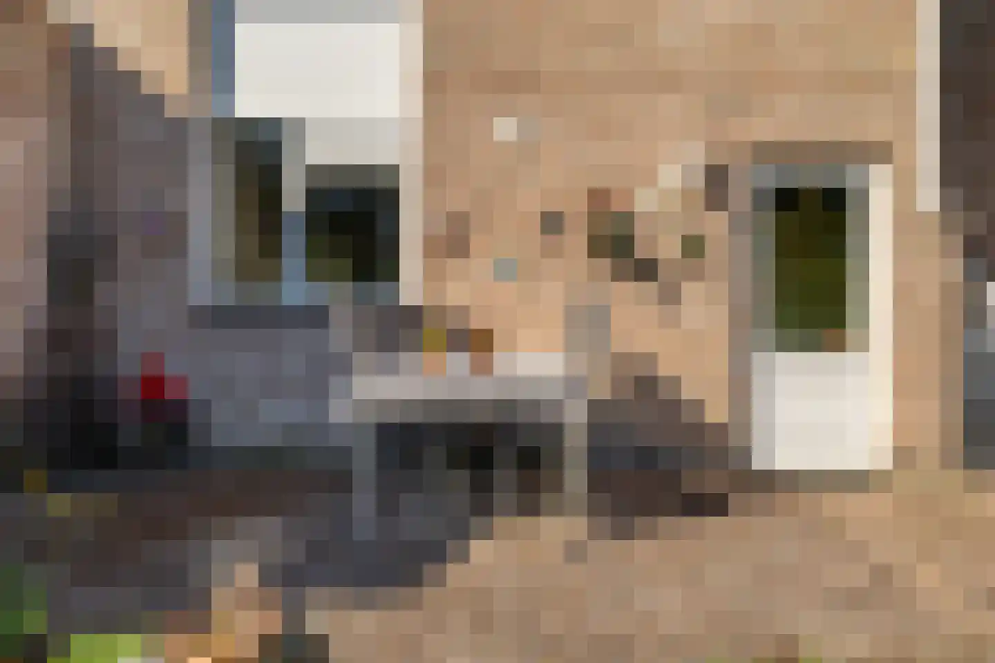 Rietgorsmeen 147 Harderwijk thumbnail 40