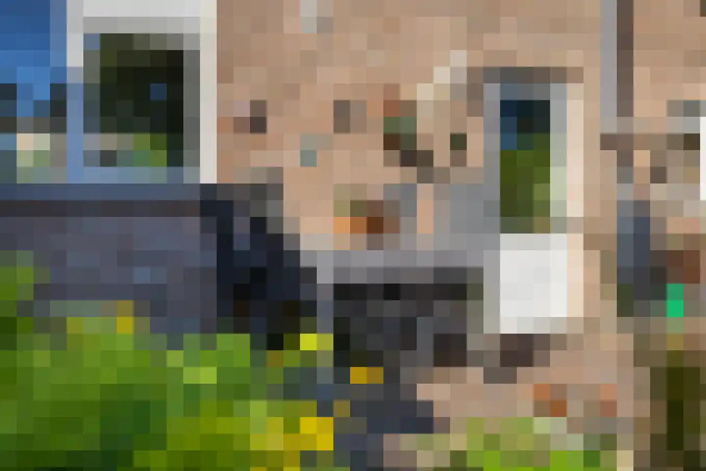 Rietgorsmeen 147 Harderwijk thumbnail 42