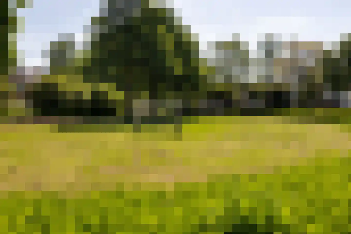 Rietgorsmeen 147 Harderwijk thumbnail 45