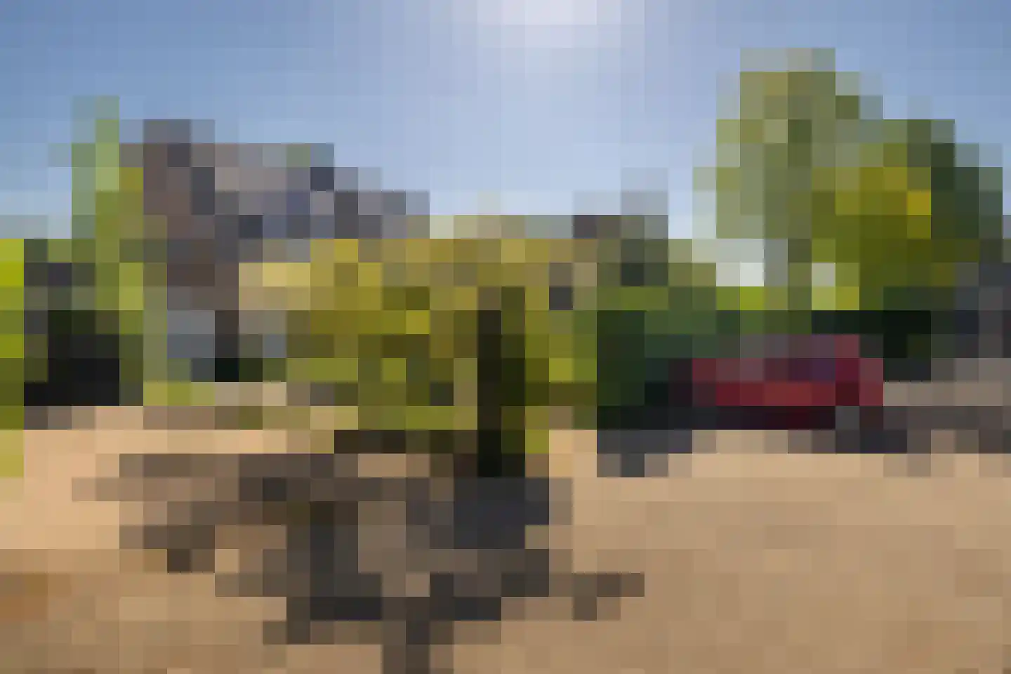 Rietgorsmeen 147 Harderwijk thumbnail 5