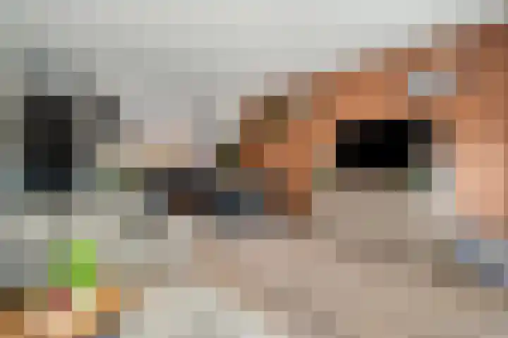 Rietgorsmeen 18 Harderwijk thumbnail 11