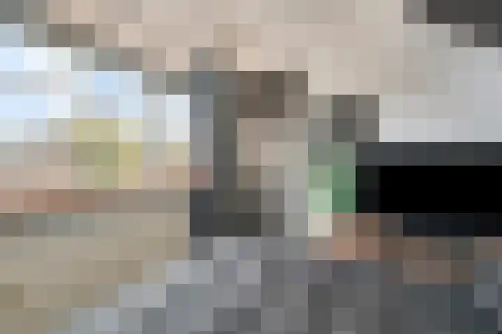 Rietgorsmeen 18 Harderwijk thumbnail 30