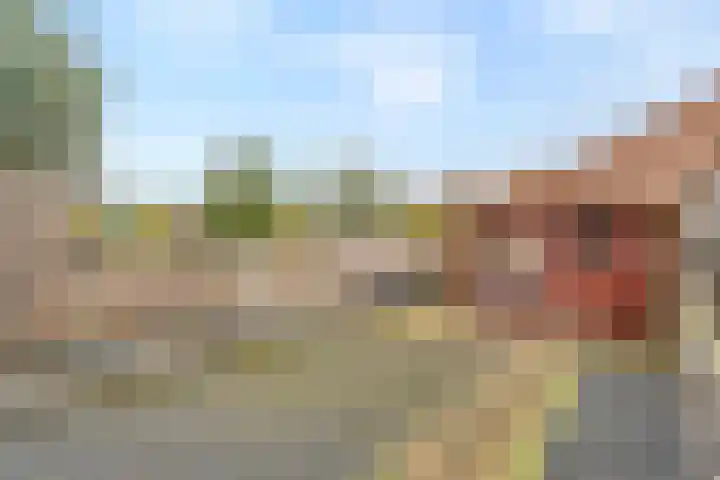 Rietgorsmeen 18 Harderwijk thumbnail 33