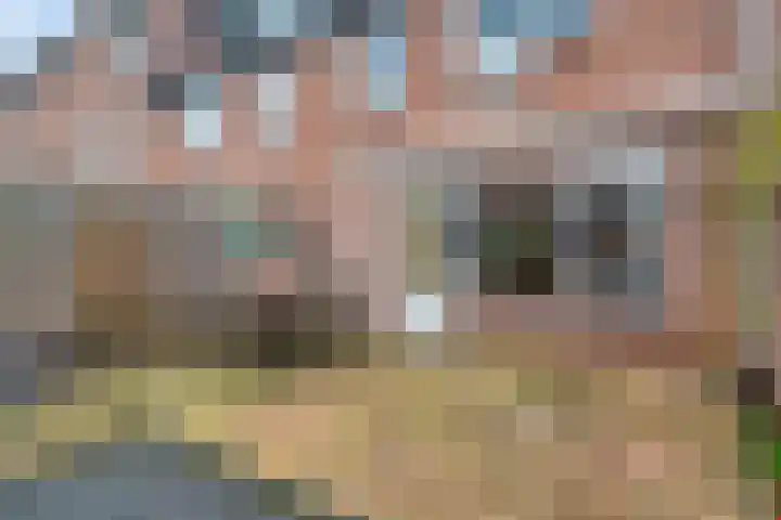 Rietgorsmeen 18 Harderwijk thumbnail 36