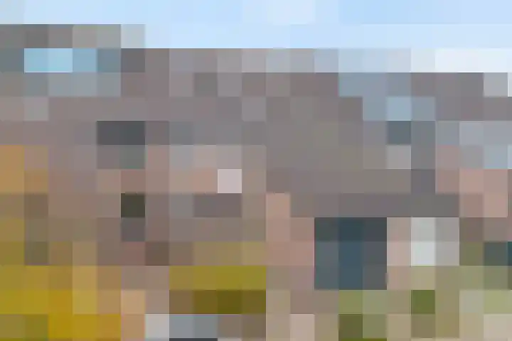 Rietgorsmeen 18 Harderwijk thumbnail 38