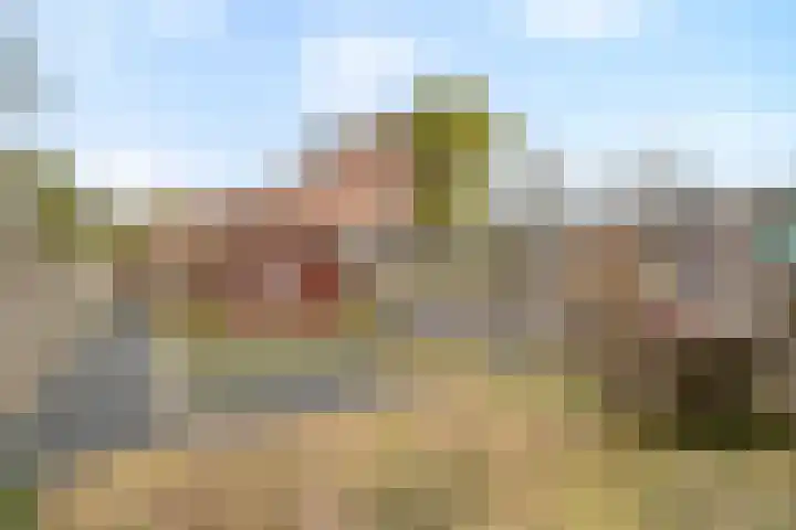 Rietgorsmeen 18 Harderwijk thumbnail 6