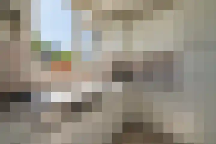 Rietgorsmeen 49 Harderwijk thumbnail 14