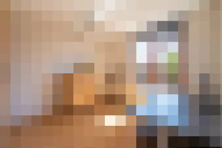 Rietgorsmeen 49 Harderwijk thumbnail 17