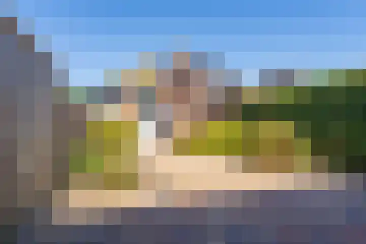 Rietgorsmeen 49 Harderwijk thumbnail 25