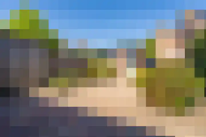 Rietgorsmeen 49 Harderwijk thumbnail 26