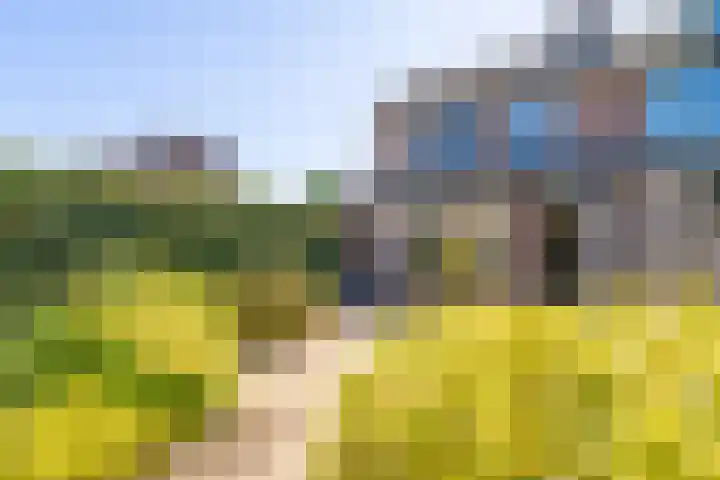 Rietgorsmeen 49 Harderwijk thumbnail 27
