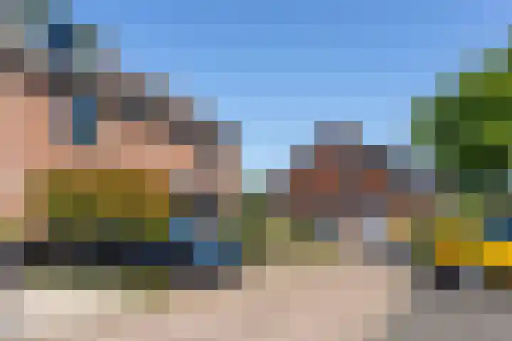 Rietgorsmeen 49 Harderwijk thumbnail 30