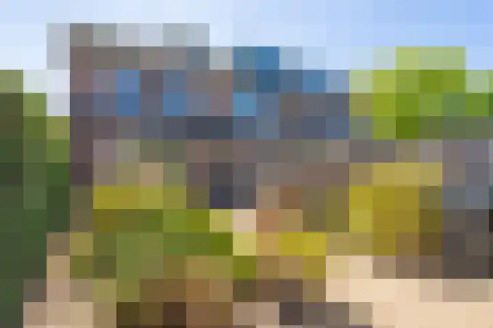 Rietgorsmeen 49 Harderwijk thumbnail 5