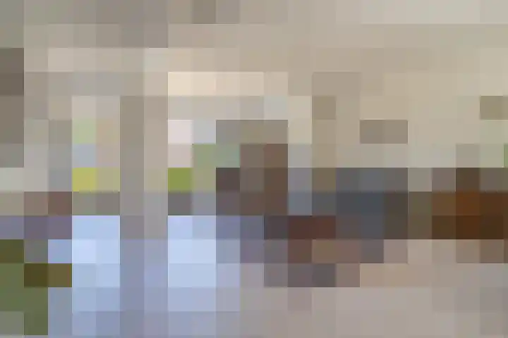 Rietgorsmeen 49 Harderwijk thumbnail 7