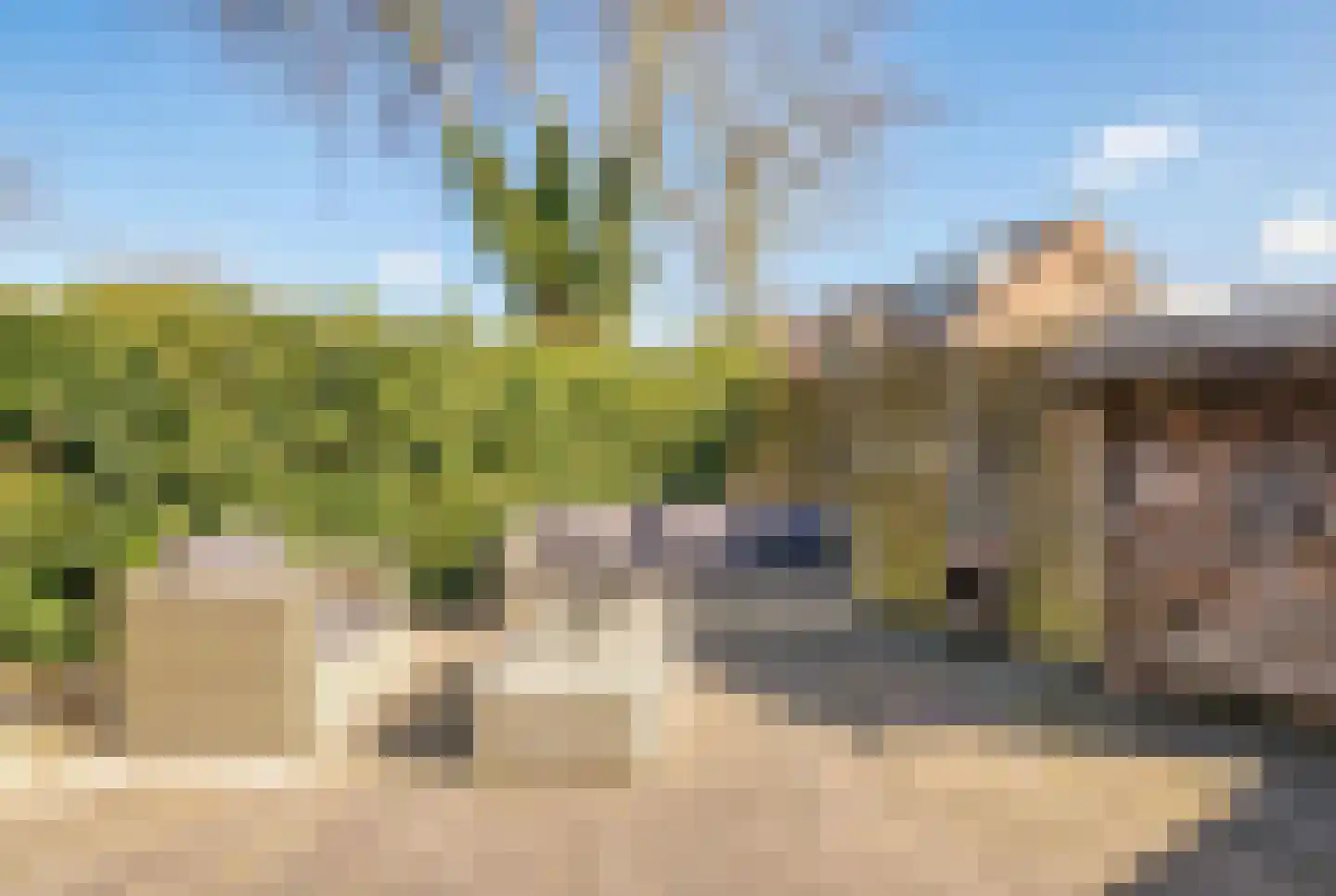 Rietgorsmeen 5 Harderwijk thumbnail 34
