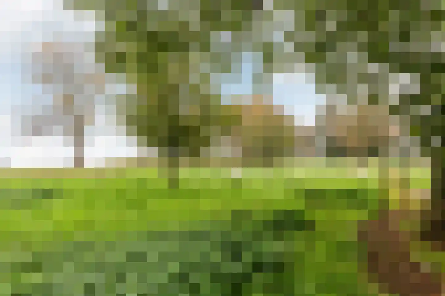 Rietgorsmeen 5 Harderwijk thumbnail 40