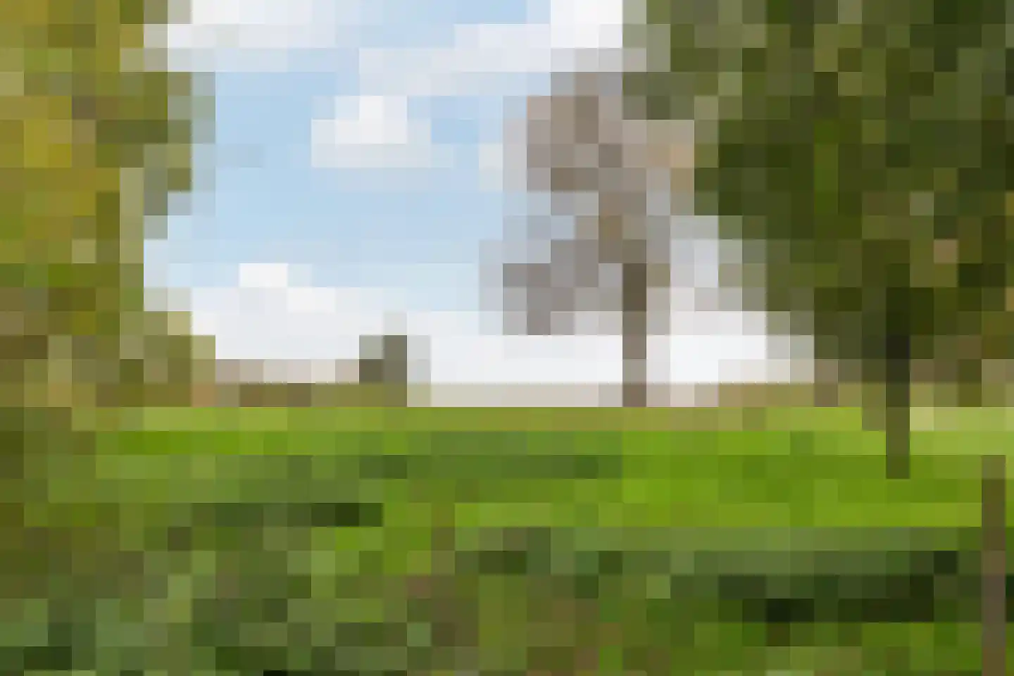 Rietgorsmeen 5 Harderwijk thumbnail 41