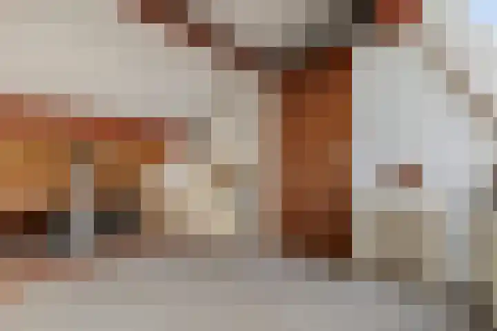 Rietgorsmeen 50 Harderwijk thumbnail 34
