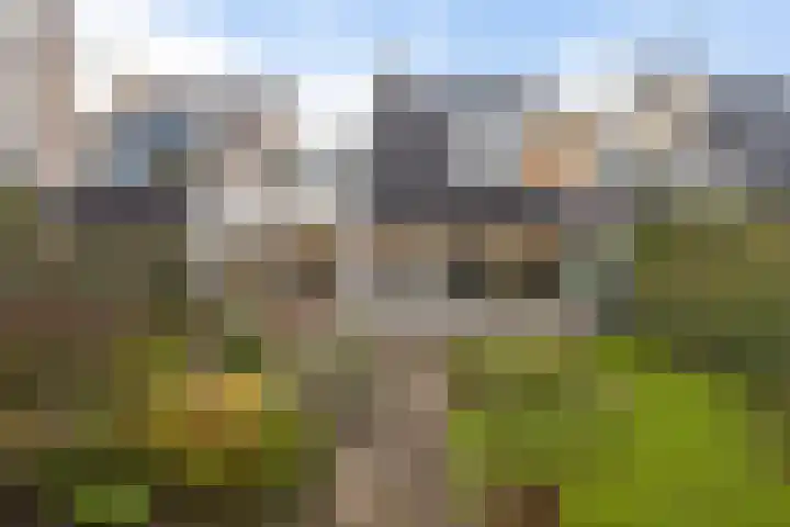 Rietgorsmeen 50 Harderwijk thumbnail 35