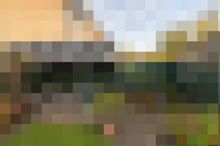 Rietgorsmeen 50 Harderwijk thumbnail 36