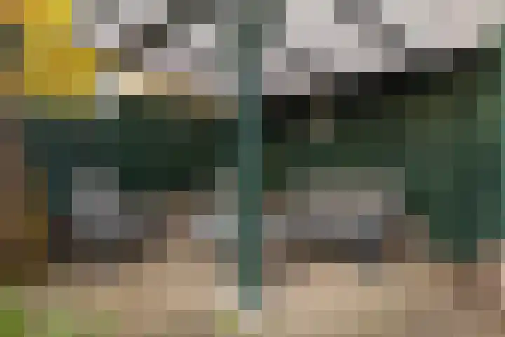 Rietgorsmeen 50 Harderwijk thumbnail 37