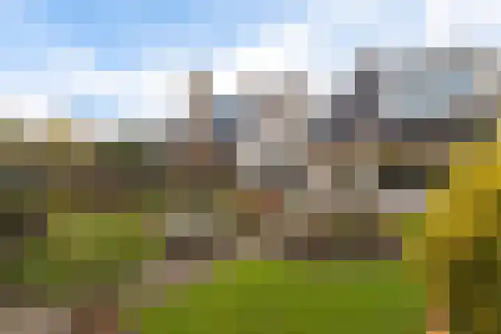 Rietgorsmeen 50 Harderwijk thumbnail 38