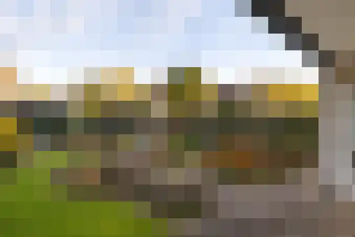 Rietgorsmeen 50 Harderwijk thumbnail 39