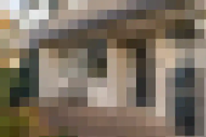 Rietgorsmeen 50 Harderwijk thumbnail 4