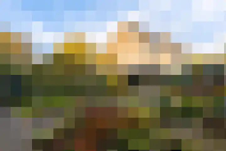 Rietgorsmeen 50 Harderwijk thumbnail 40