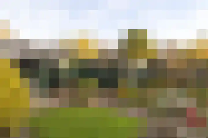 Rietgorsmeen 50 Harderwijk thumbnail 41