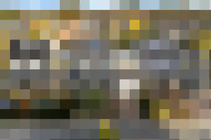 Rietgorsmeen 50 Harderwijk thumbnail 42