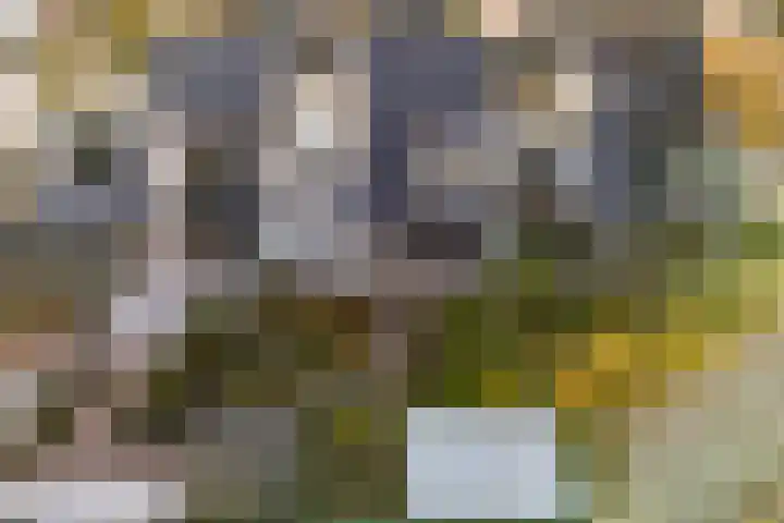 Rietgorsmeen 50 Harderwijk thumbnail 44
