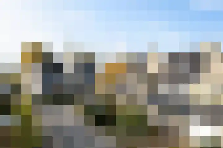 Rietgorsmeen 50 Harderwijk thumbnail 45