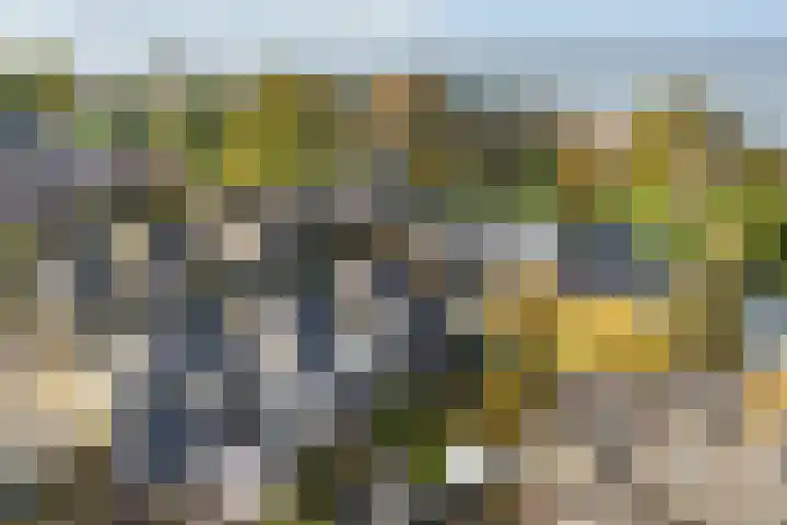 Rietgorsmeen 50 Harderwijk thumbnail 46