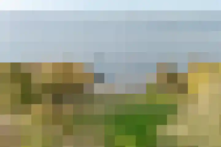 Rietgorsmeen 50 Harderwijk thumbnail 47