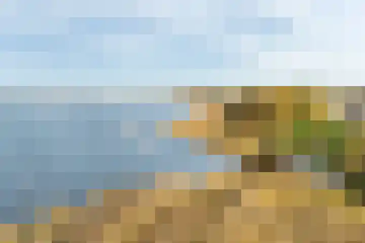 Rietgorsmeen 50 Harderwijk thumbnail 49