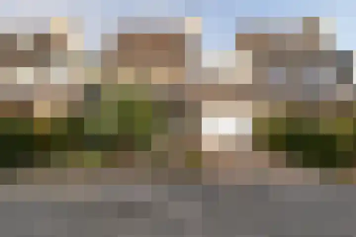 Rietgorsmeen 50 Harderwijk thumbnail 50