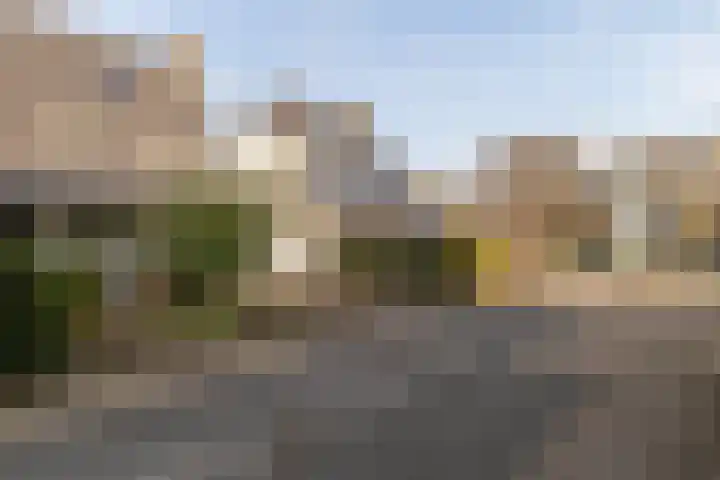 Rietgorsmeen 50 Harderwijk thumbnail 51