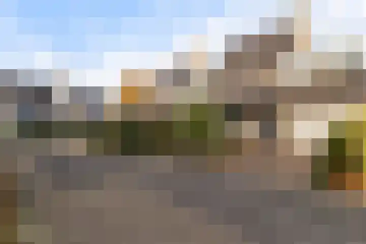 Rietgorsmeen 50 Harderwijk thumbnail 52