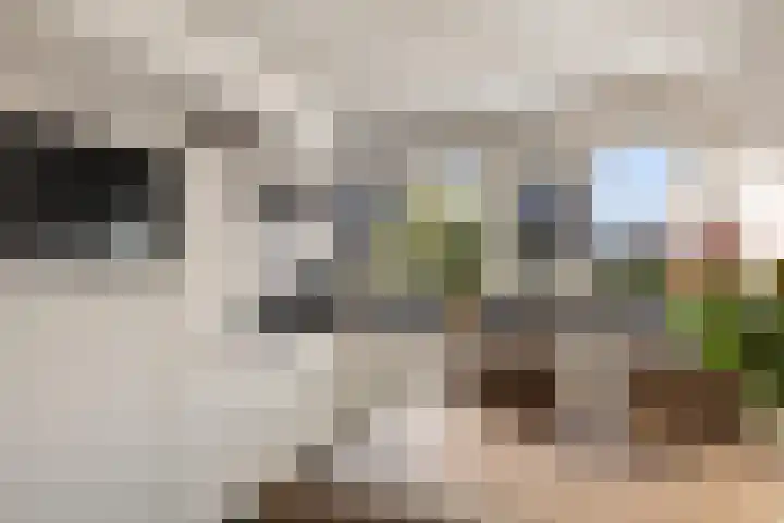Rietgorsmeen 50 Harderwijk thumbnail 6