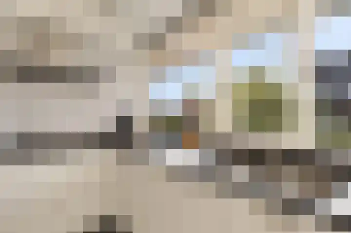 Rietgorsmeen 50 Harderwijk thumbnail 7