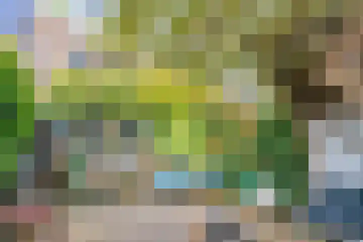 Rietgorsmeen 56 Harderwijk thumbnail 17