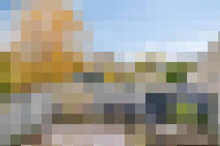 Rietgorsmeen 56 Harderwijk thumbnail 18