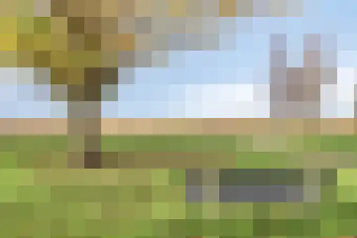Rietgorsmeen 56 Harderwijk thumbnail 19