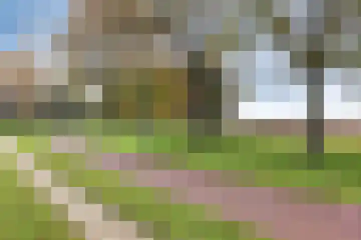 Rietgorsmeen 56 Harderwijk thumbnail 20