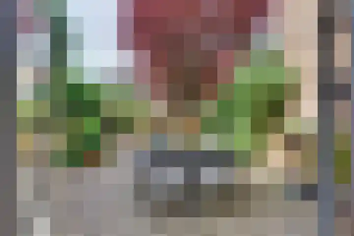 Rietgorsmeen 78 Harderwijk thumbnail 12