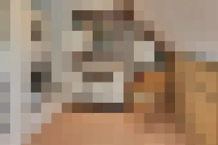 Rietgorsmeen 78 Harderwijk thumbnail 47