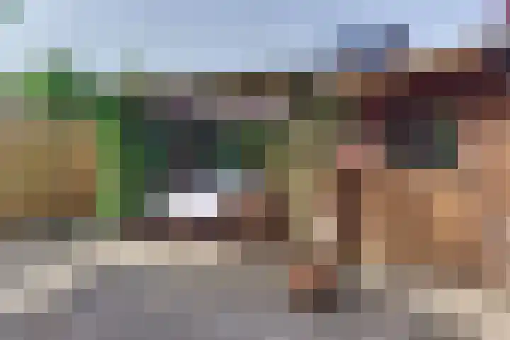 Rietgorsmeen 78 Harderwijk thumbnail 57