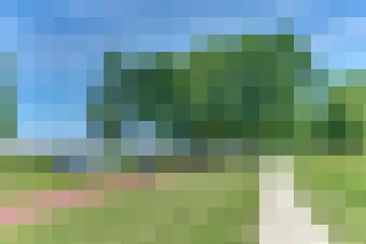 Rietgorsmeen 78 Harderwijk thumbnail 63