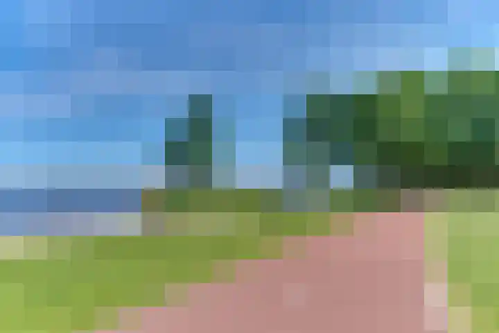 Rietgorsmeen 78 Harderwijk thumbnail 64
